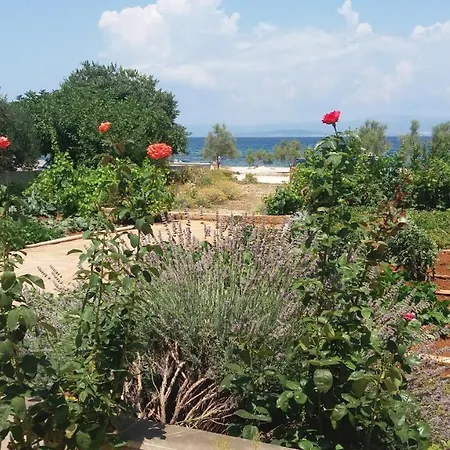 Apartman Apartments Zvone,Place By The Sea Mirca (Brac)